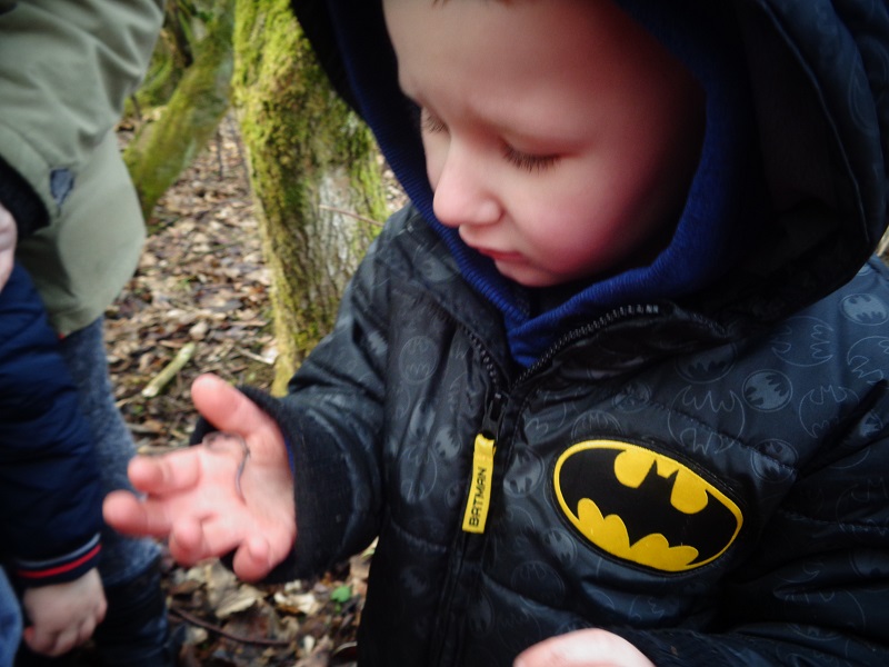 Finding worms and investigating them in our hands.